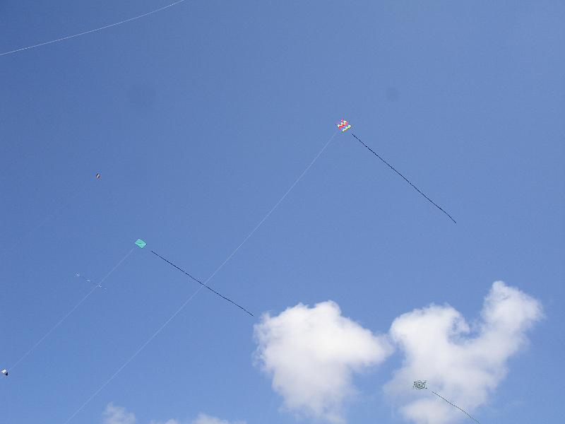 DSC04806.JPG - Zwei Quadratdrachen aus unserem kleinen Workshop-Nachmittag standen auch sicher am Himmel. (1m diagonal)