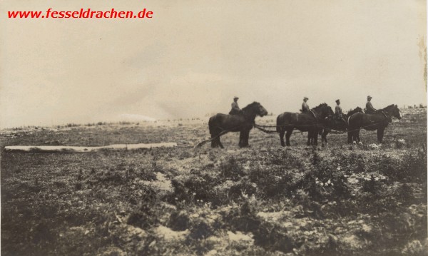 Die Pferde sind angespannt
